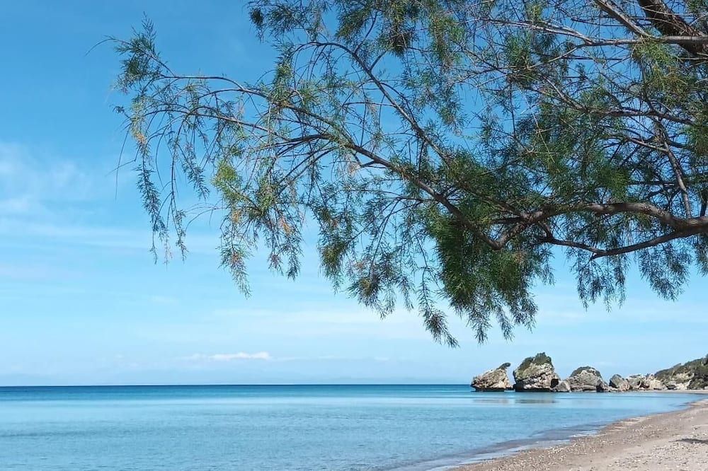 Playa Foto