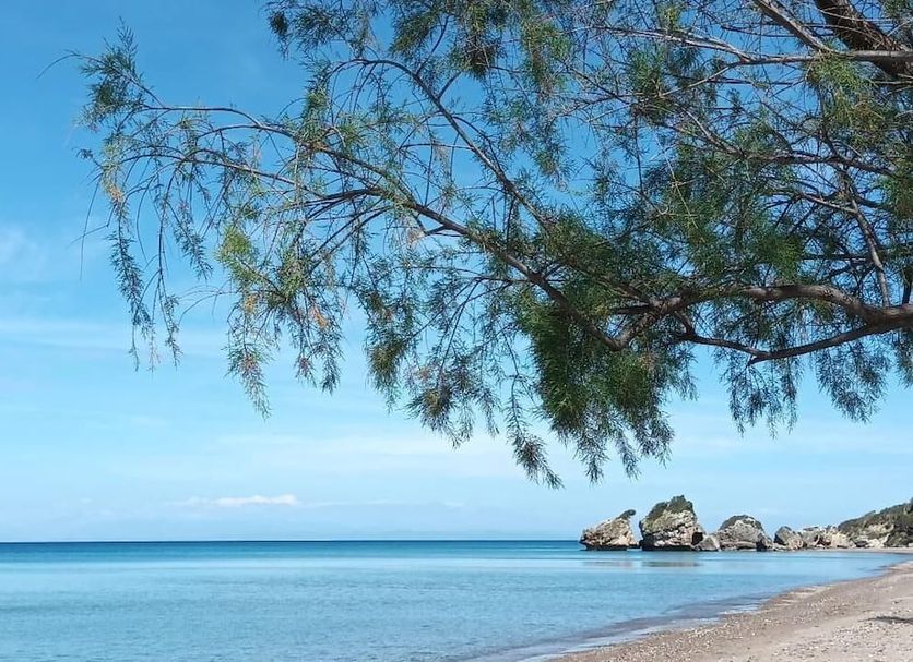 Playa Foto