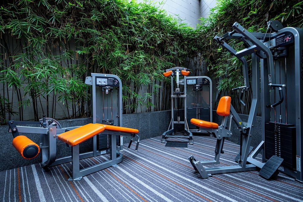 Gimnasio
