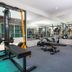 Gimnasio