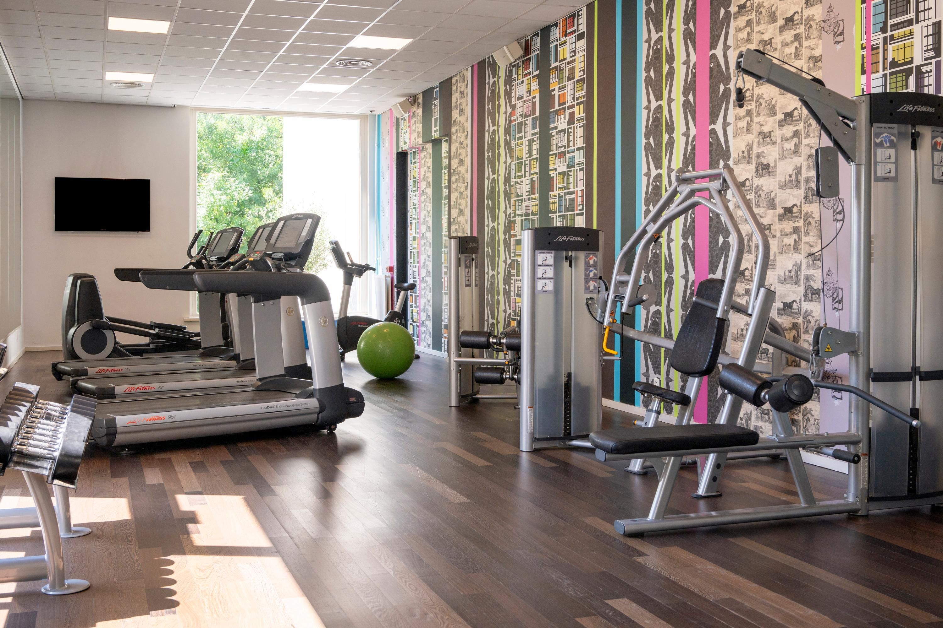Gimnasio