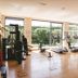 Gimnasio