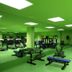 Gimnasio