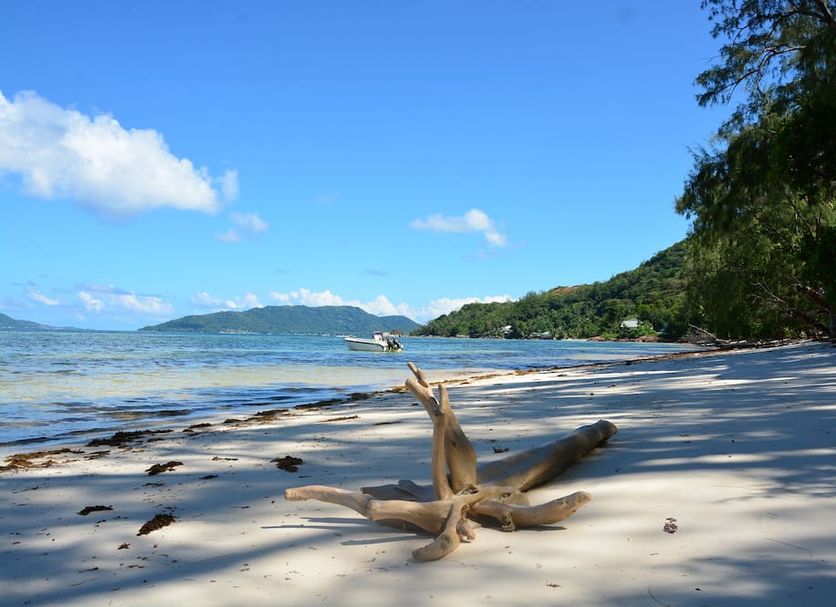 Playa Foto