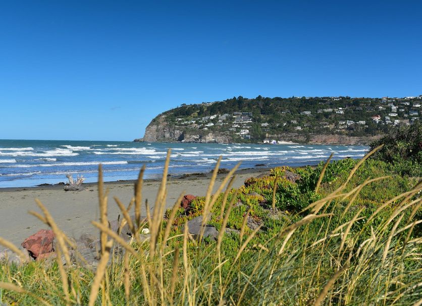 Playa Foto
