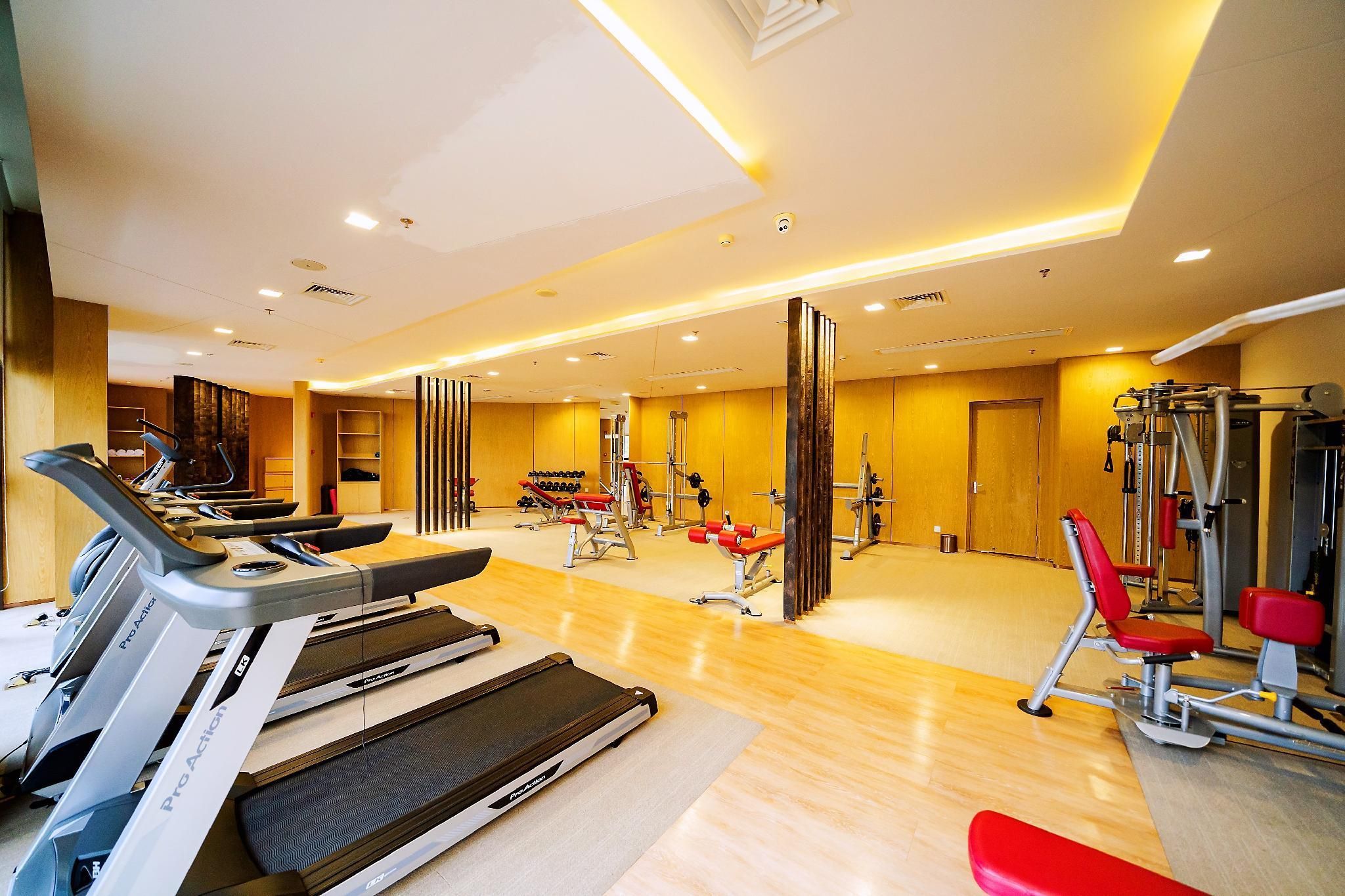 Gimnasio