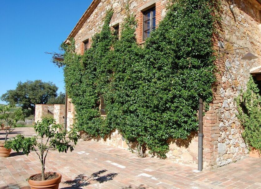 Vista del exterior Foto