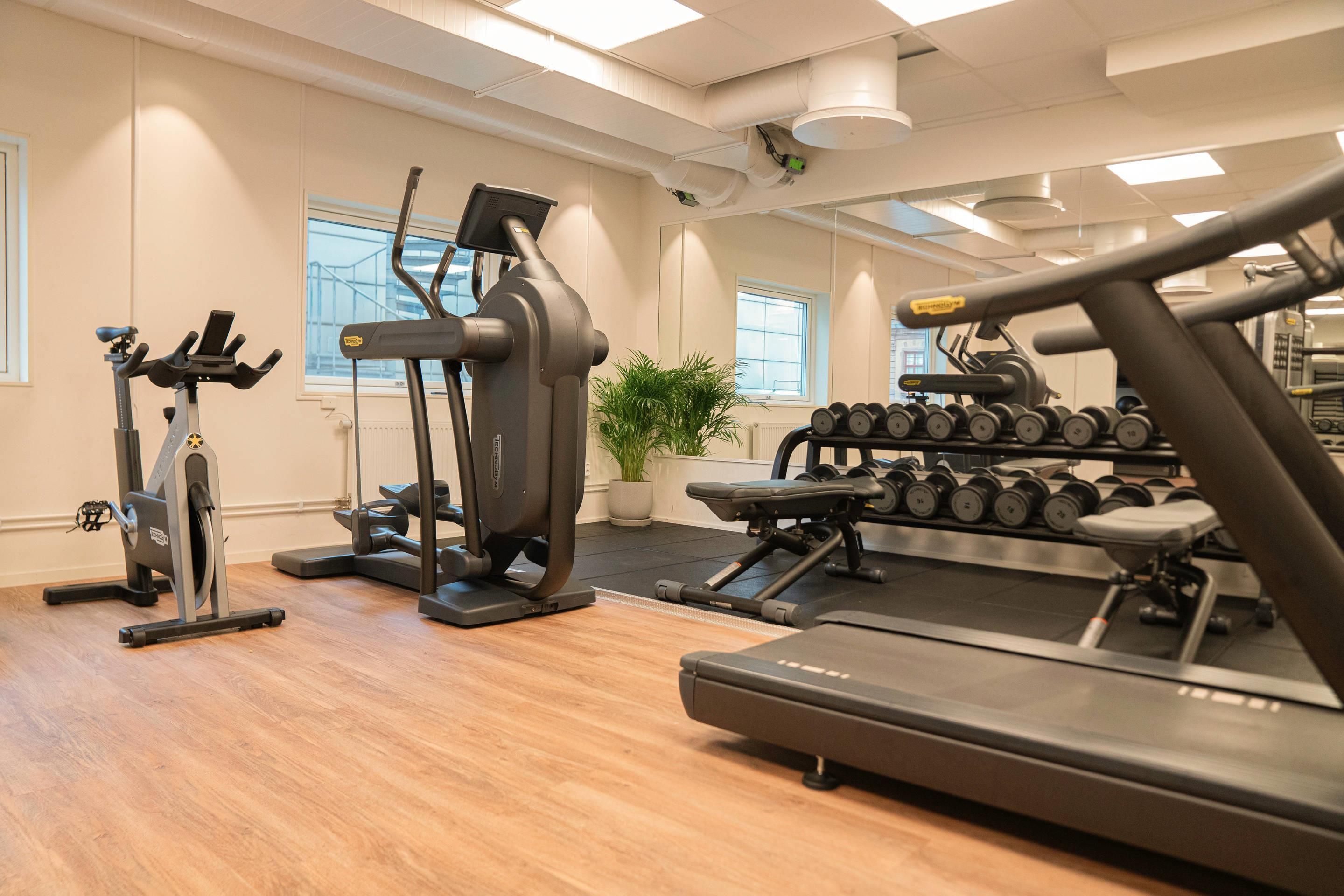 Gimnasio