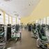 Gimnasio