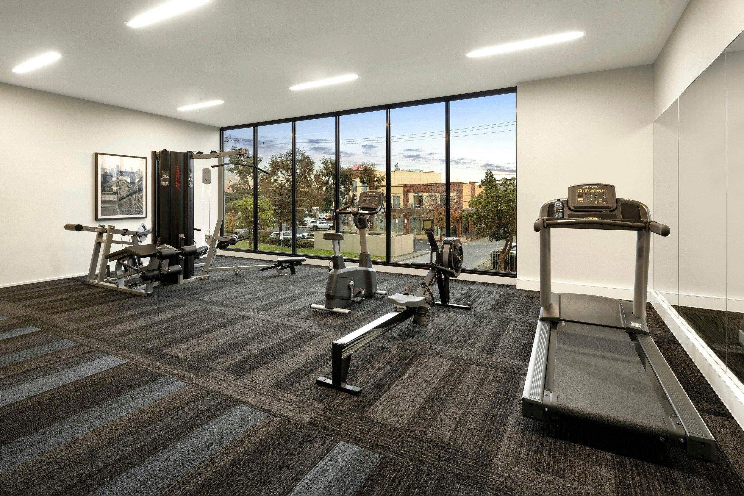 Gimnasio