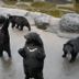 Otro