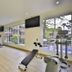 Gimnasio