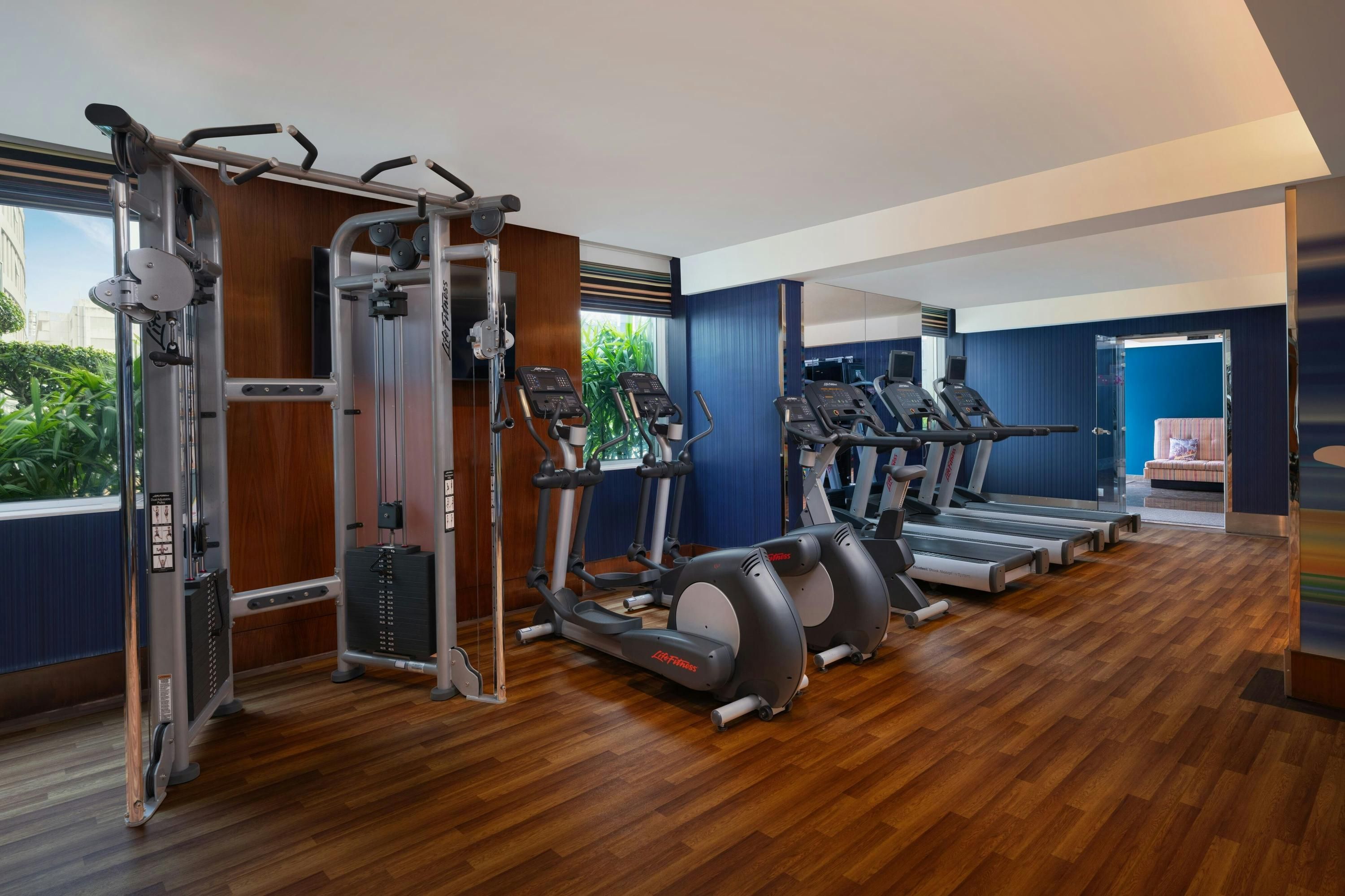 Gimnasio