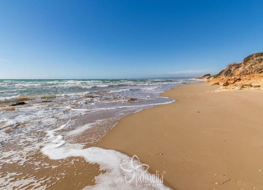 Playa Foto