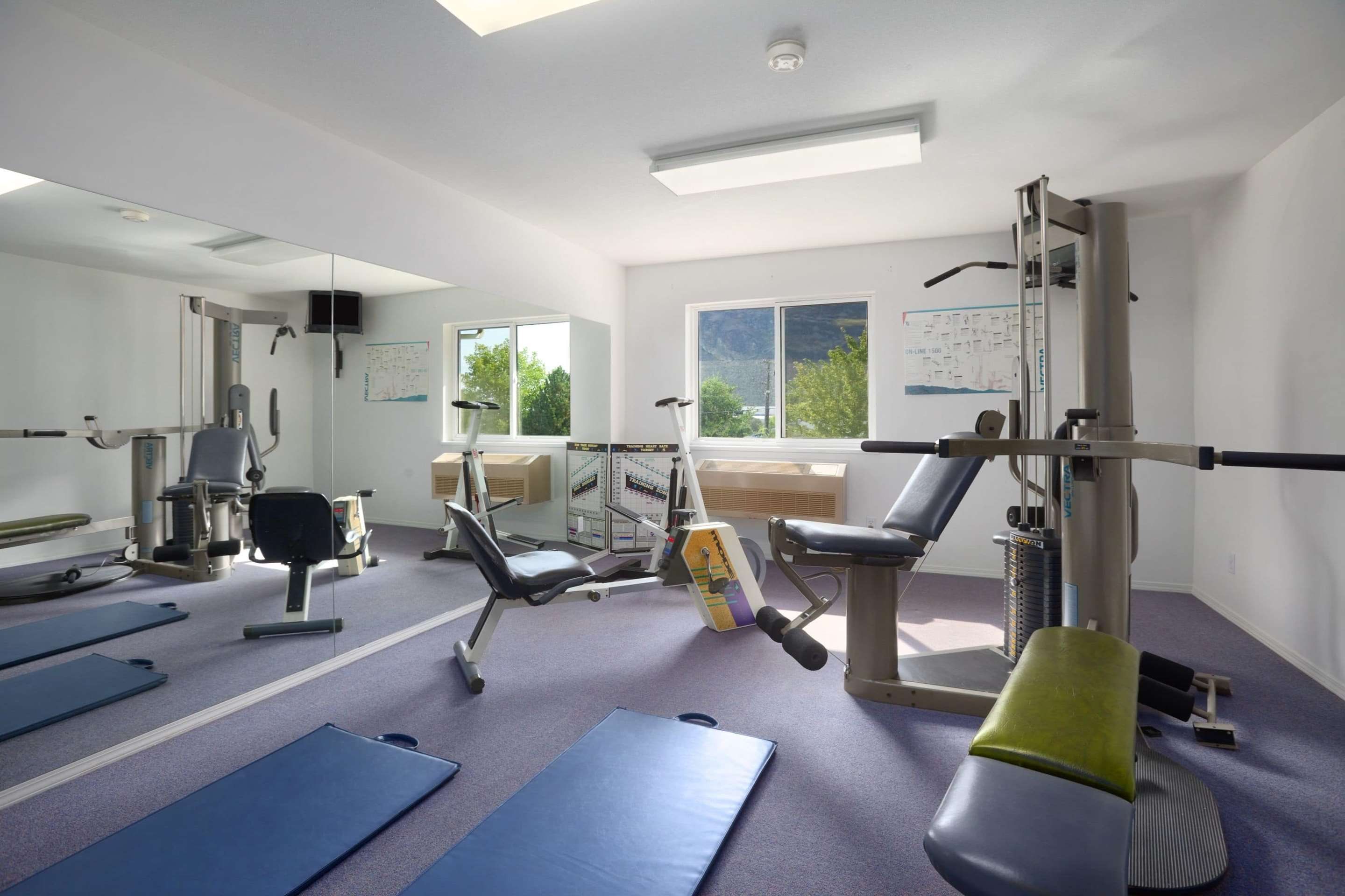 Gimnasio