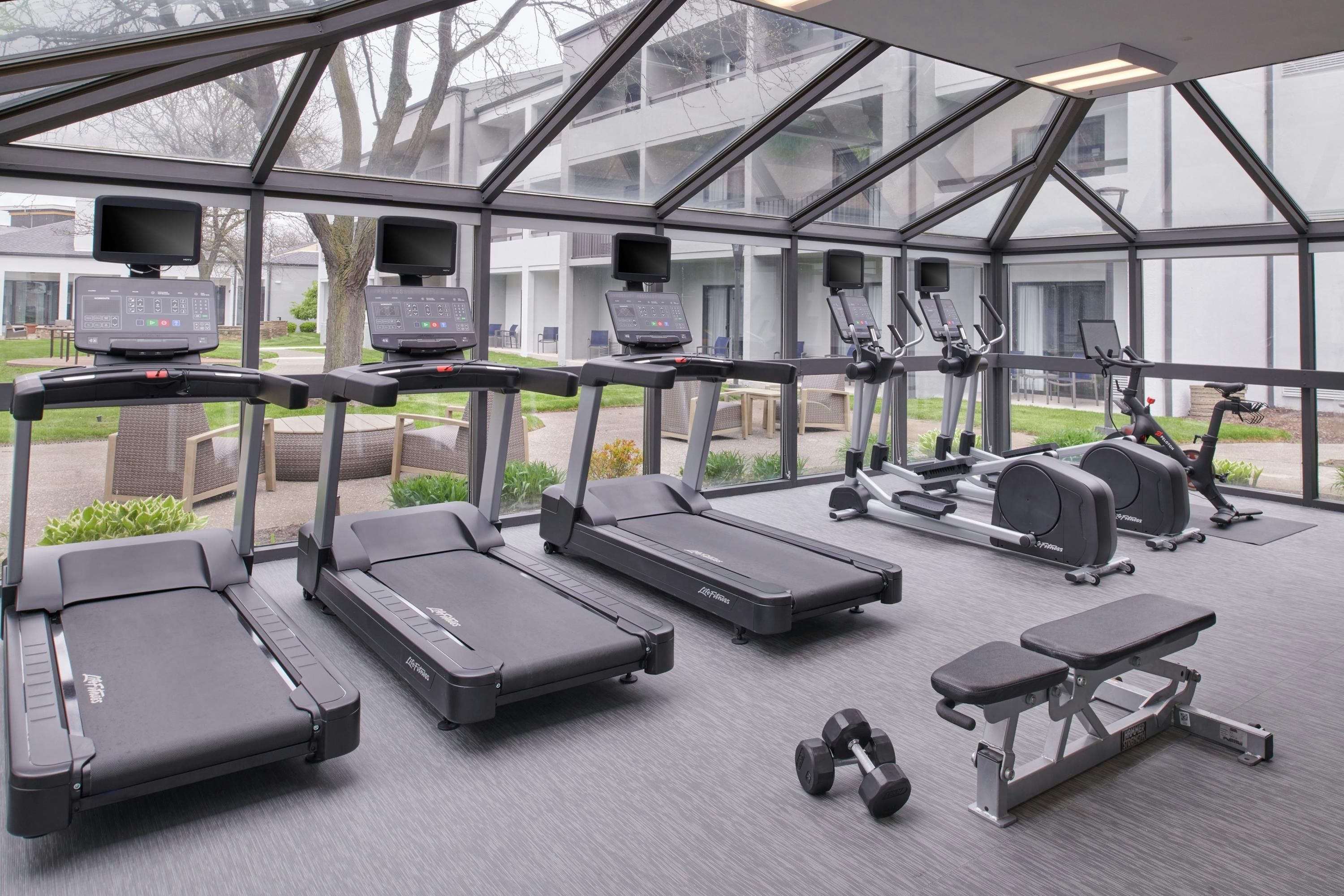 Gimnasio