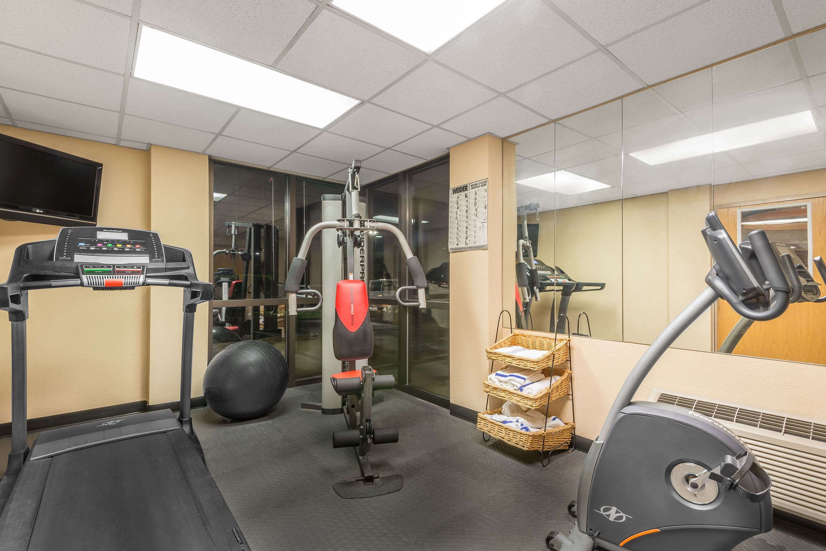 Gimnasio