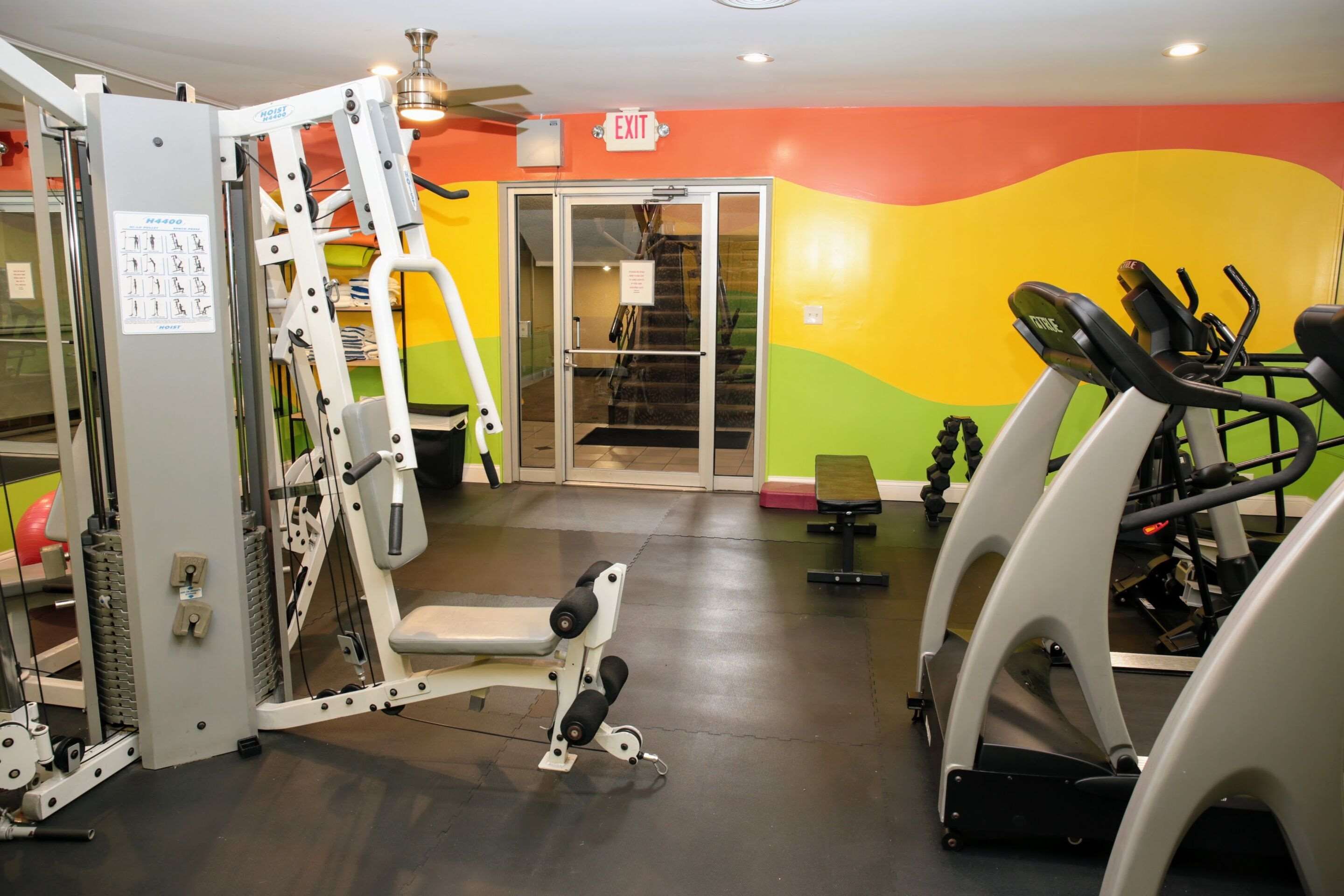 Gimnasio