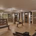 Gimnasio