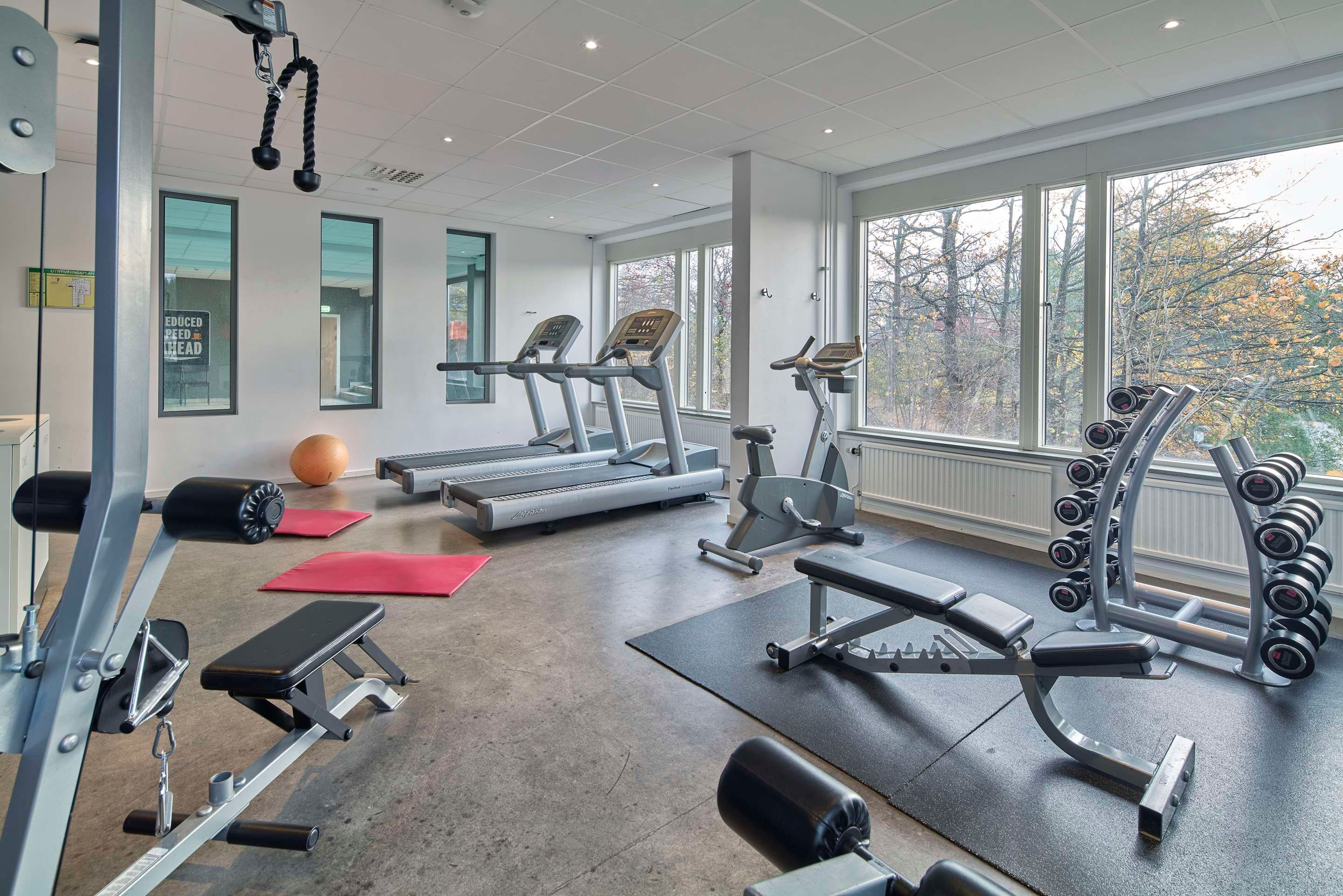 Gimnasio