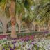 Vista del exterior