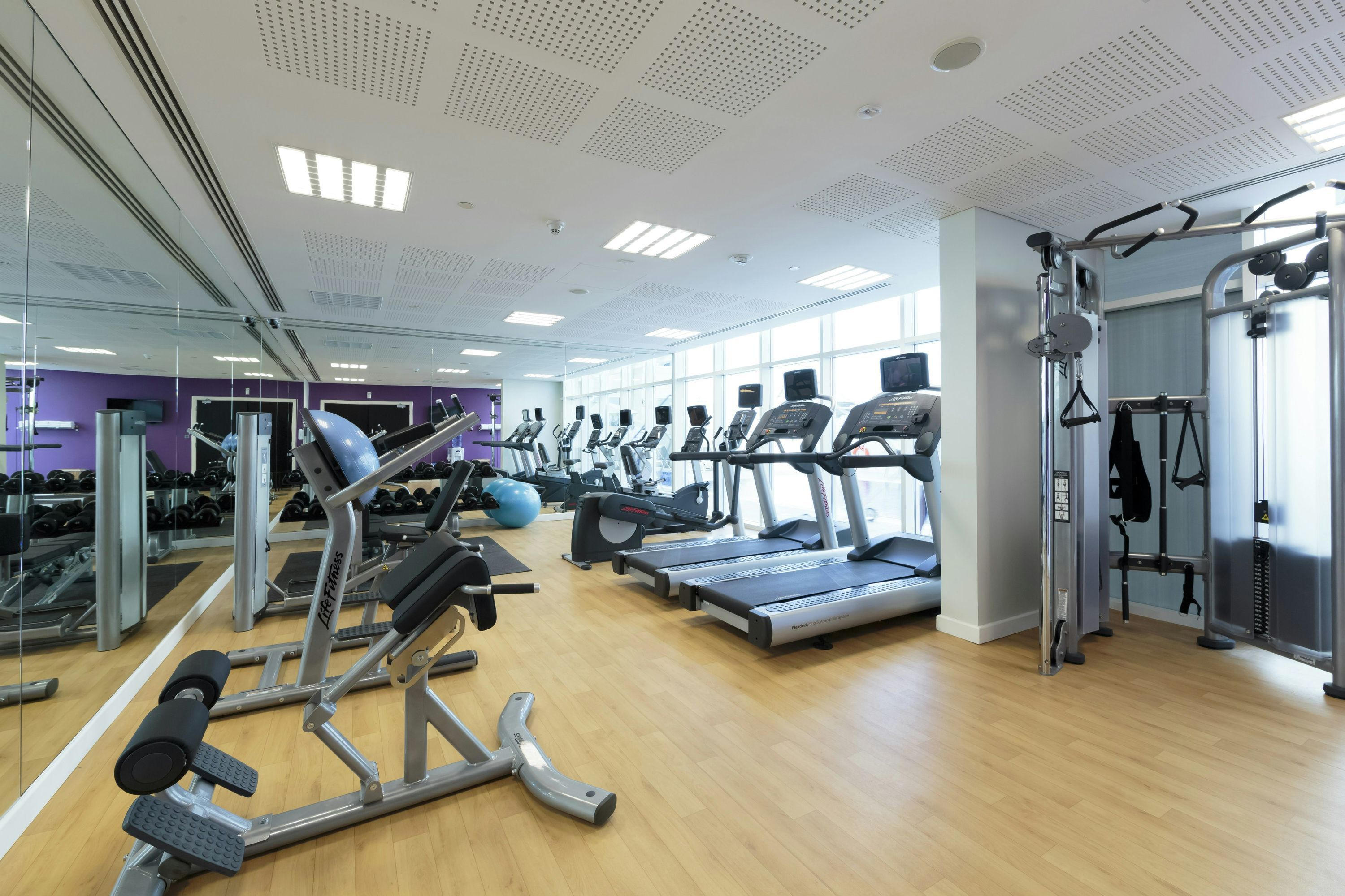 Gimnasio