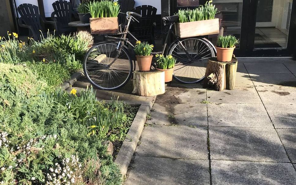 Patio Foto