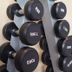 Gimnasio