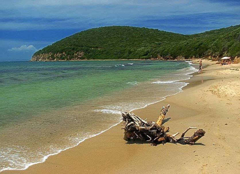 Playa Foto