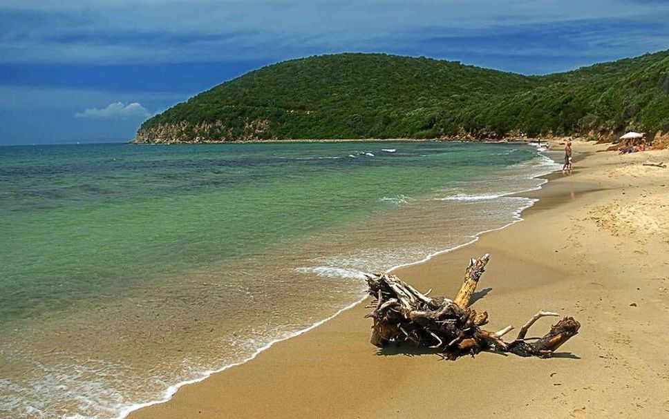 Playa Foto