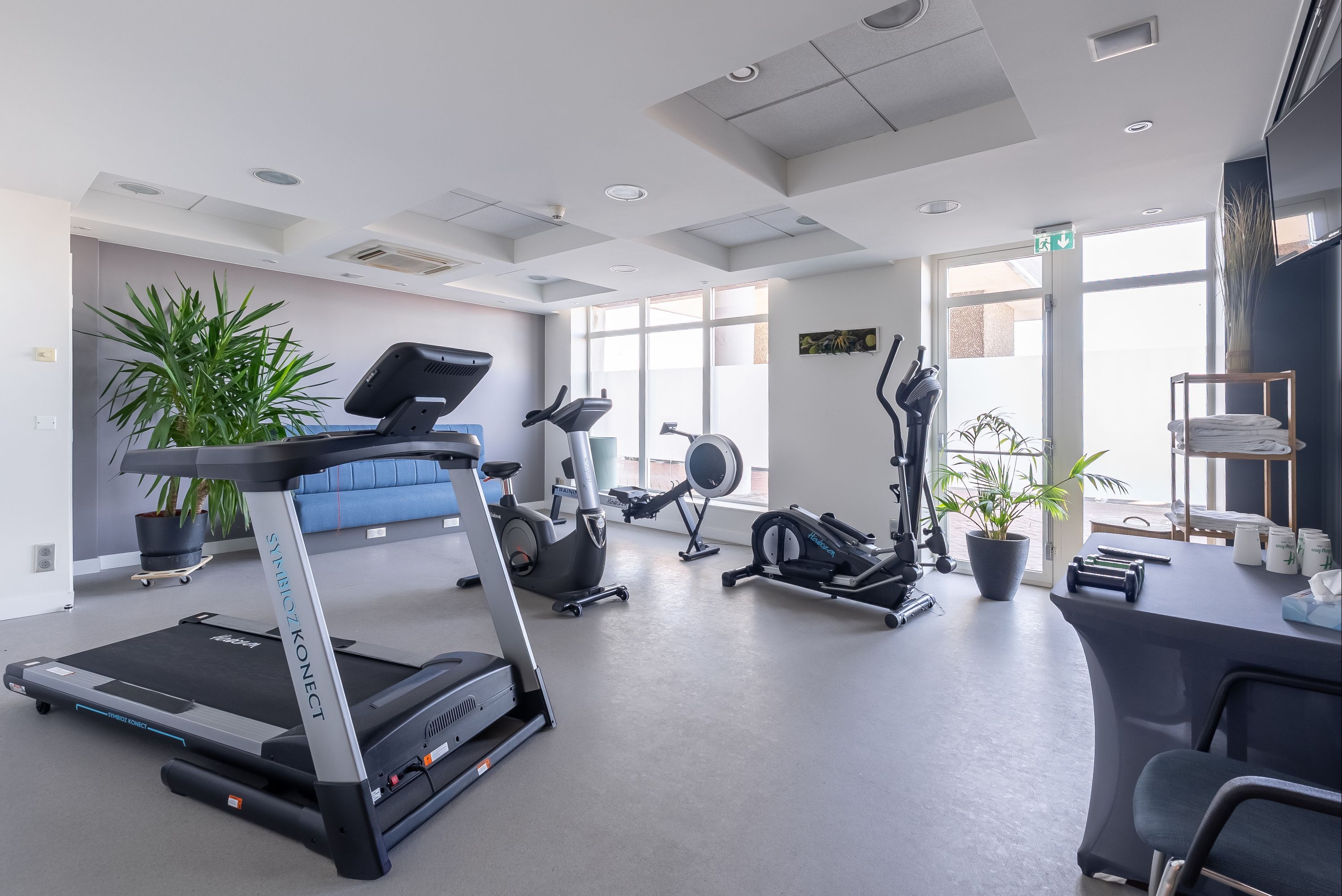 Gimnasio