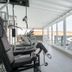 Gimnasio