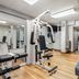 Gimnasio