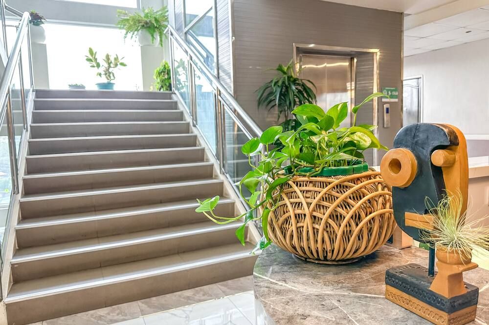 Escaleras