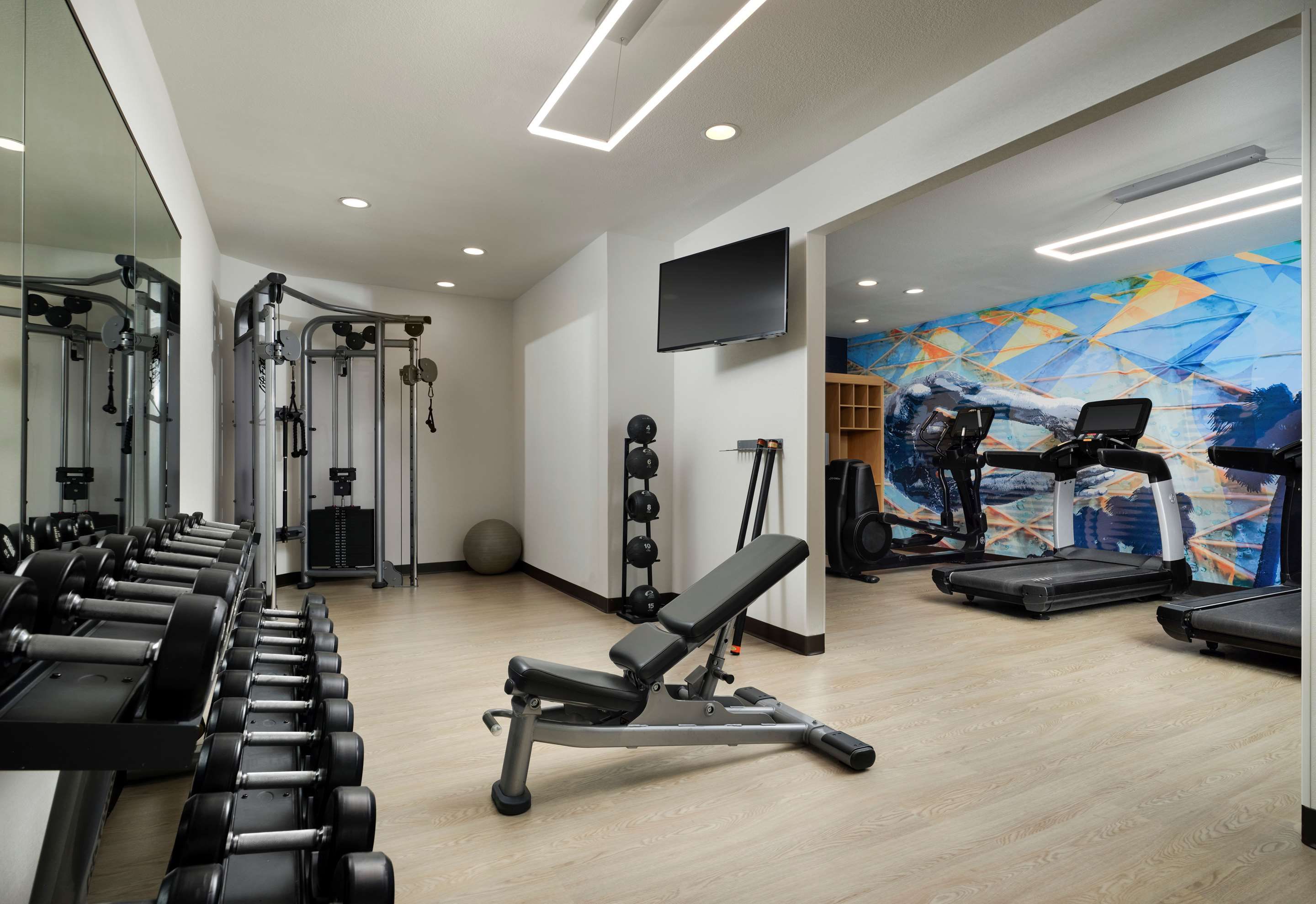 Gimnasio