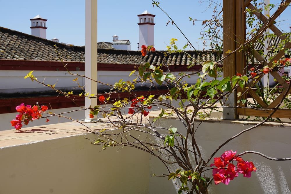 Vista del exterior