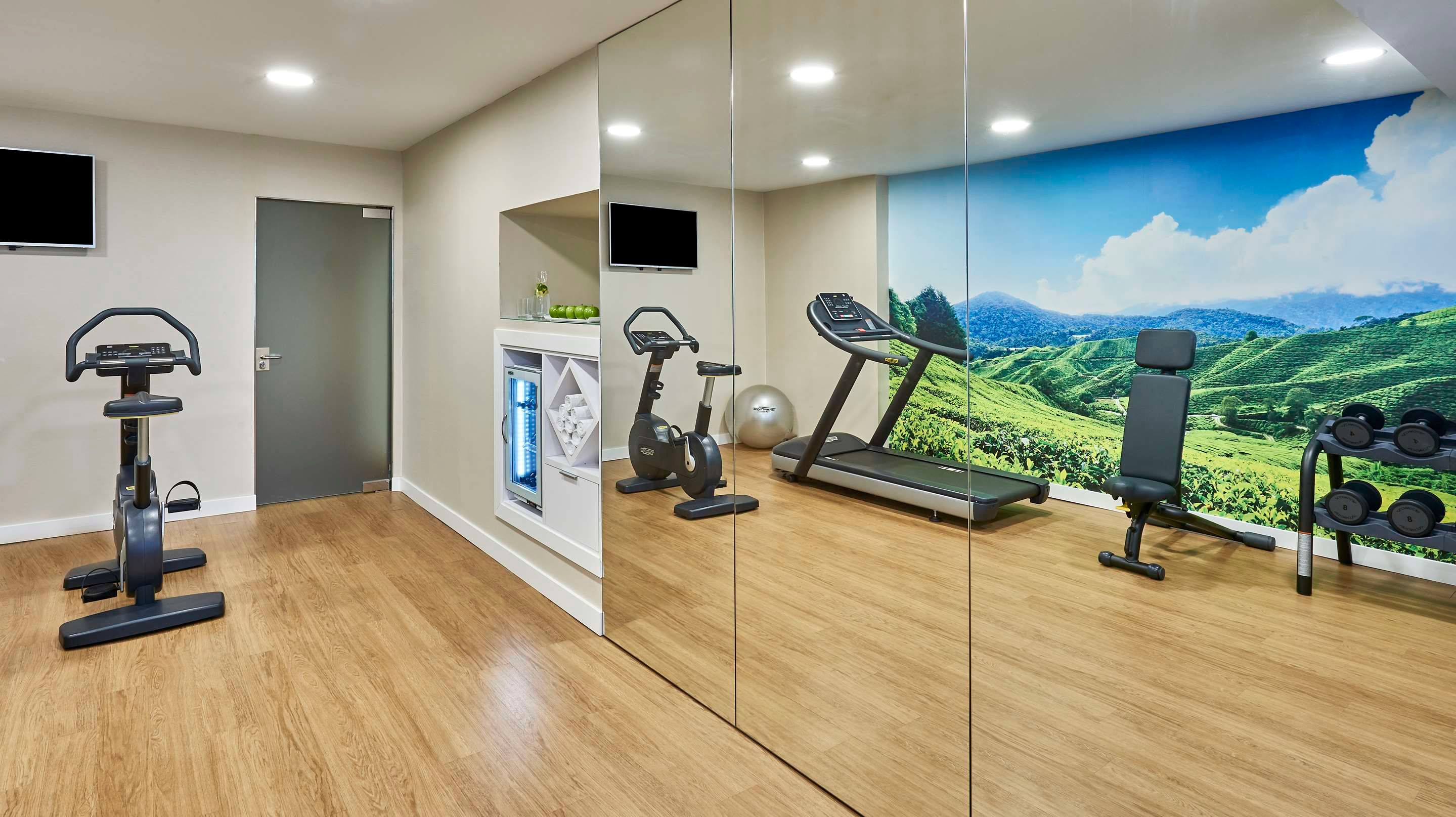 Gimnasio