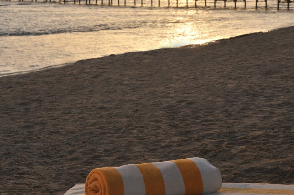 Playa