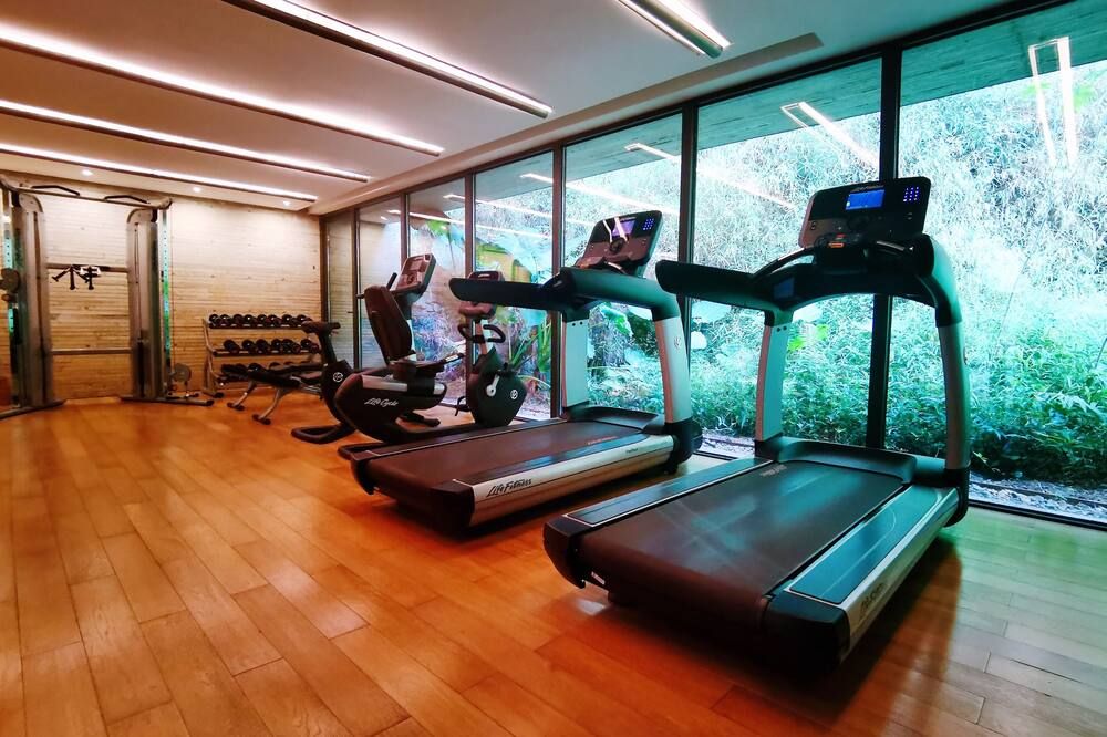 Gimnasio