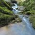 Otro