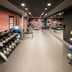 Gimnasio