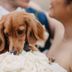 Otro