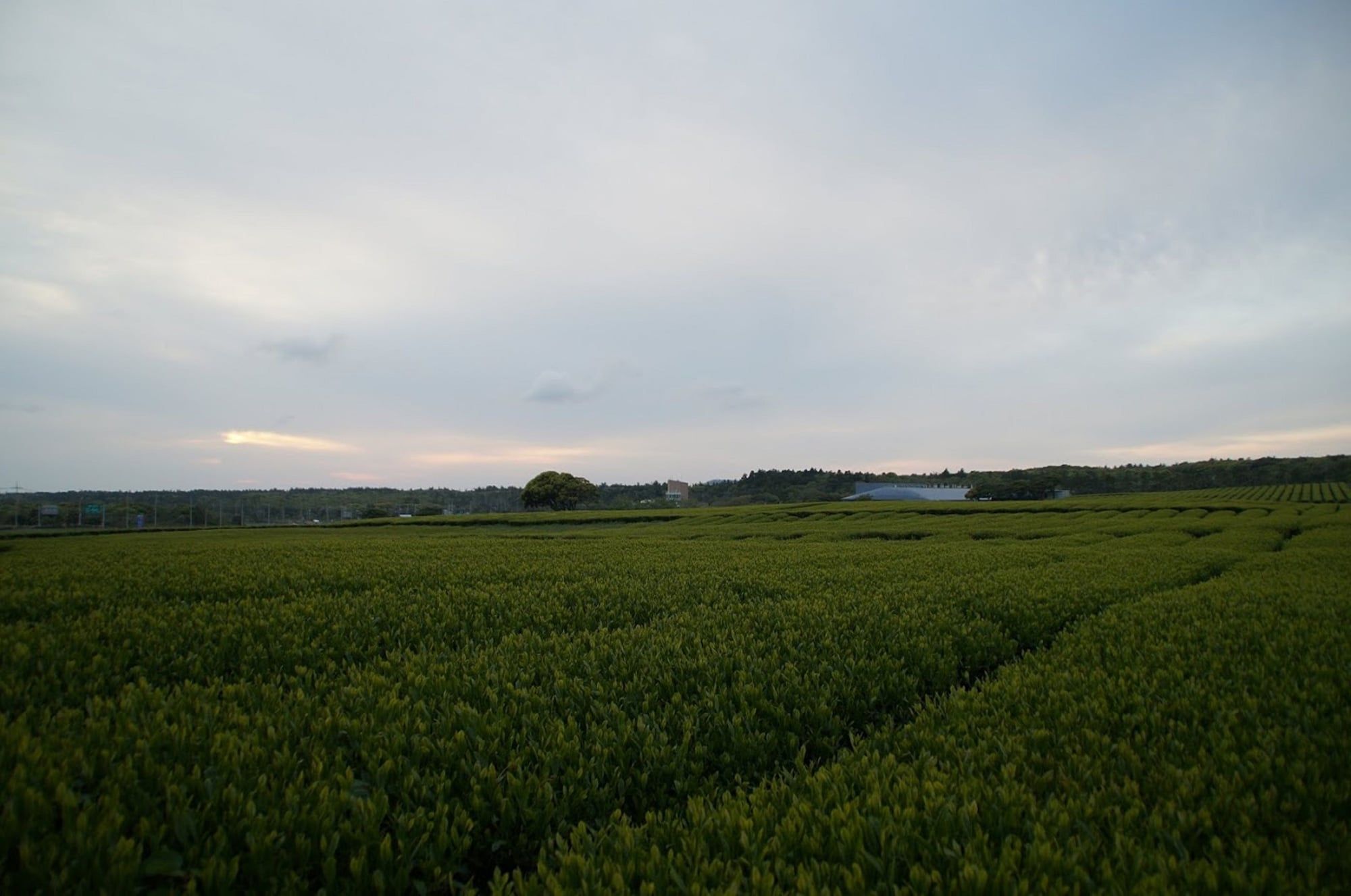 Vista del exterior