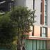 Vista del exterior