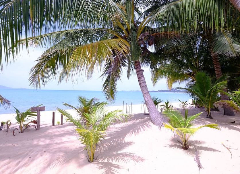 Playa Foto