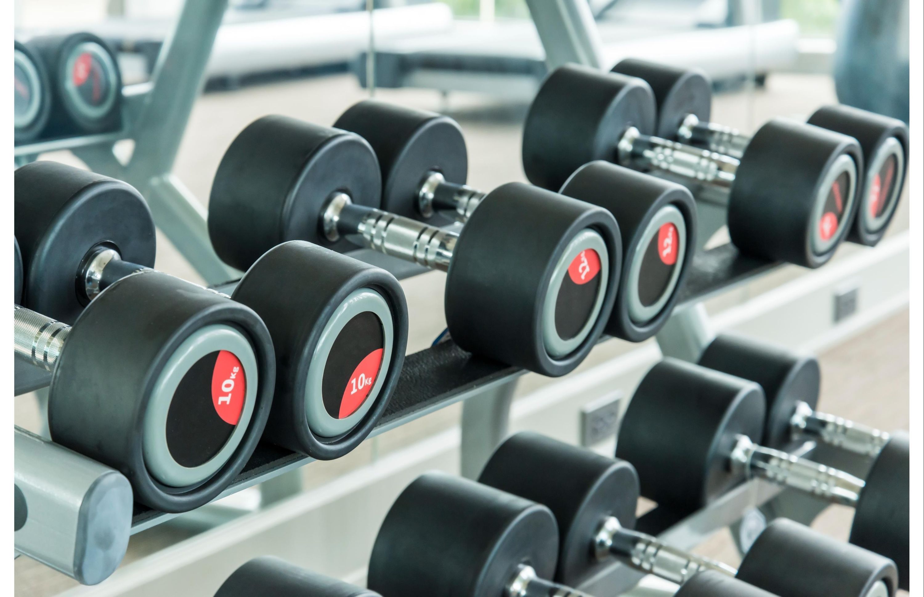 Gimnasio
