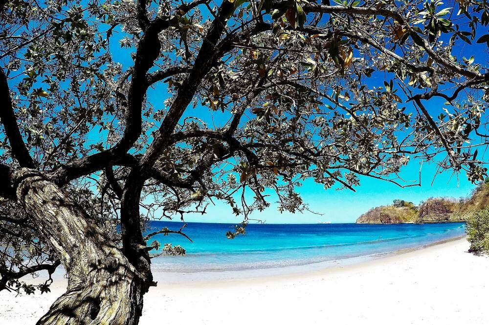 Playa