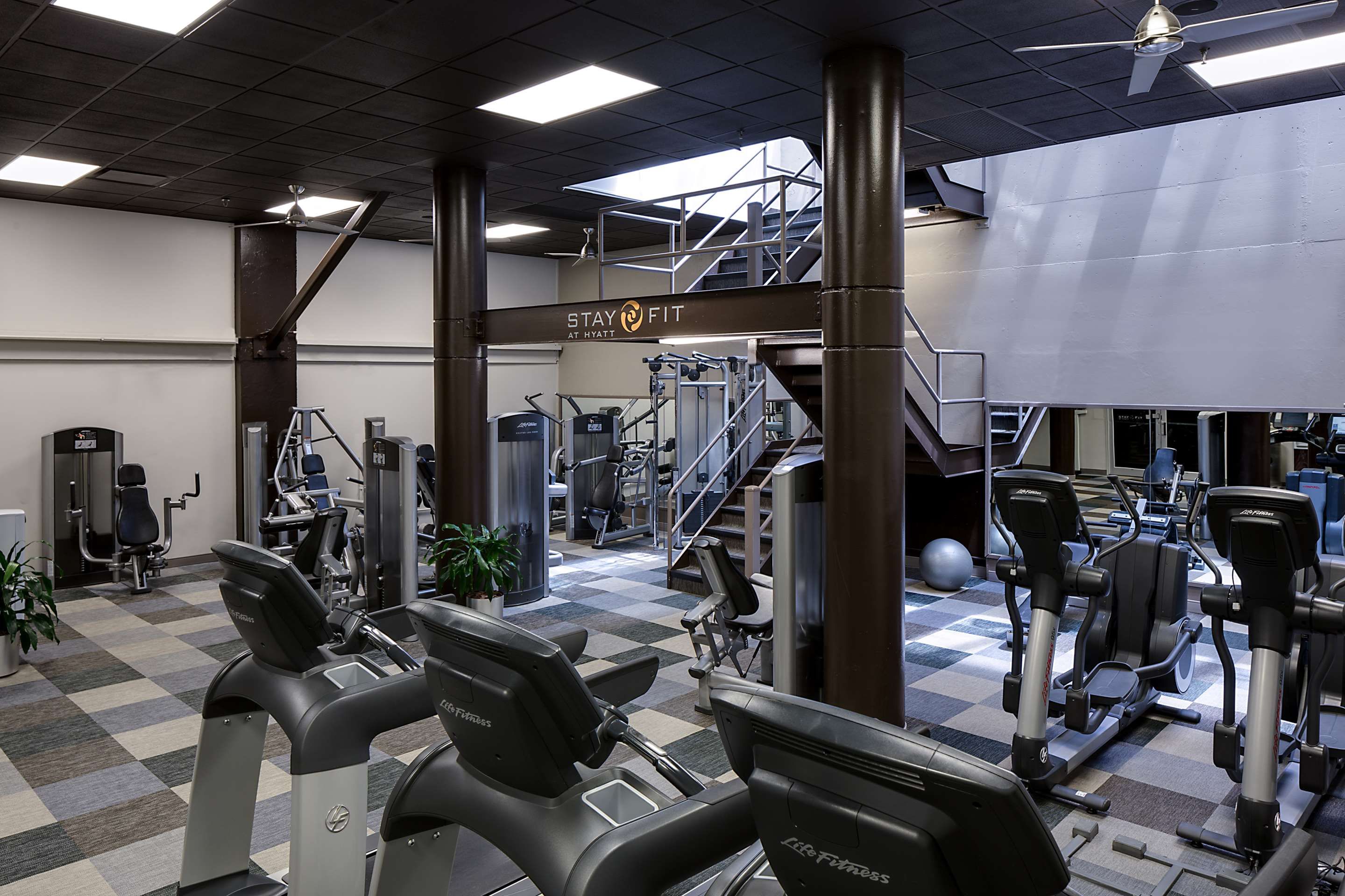 Gimnasio