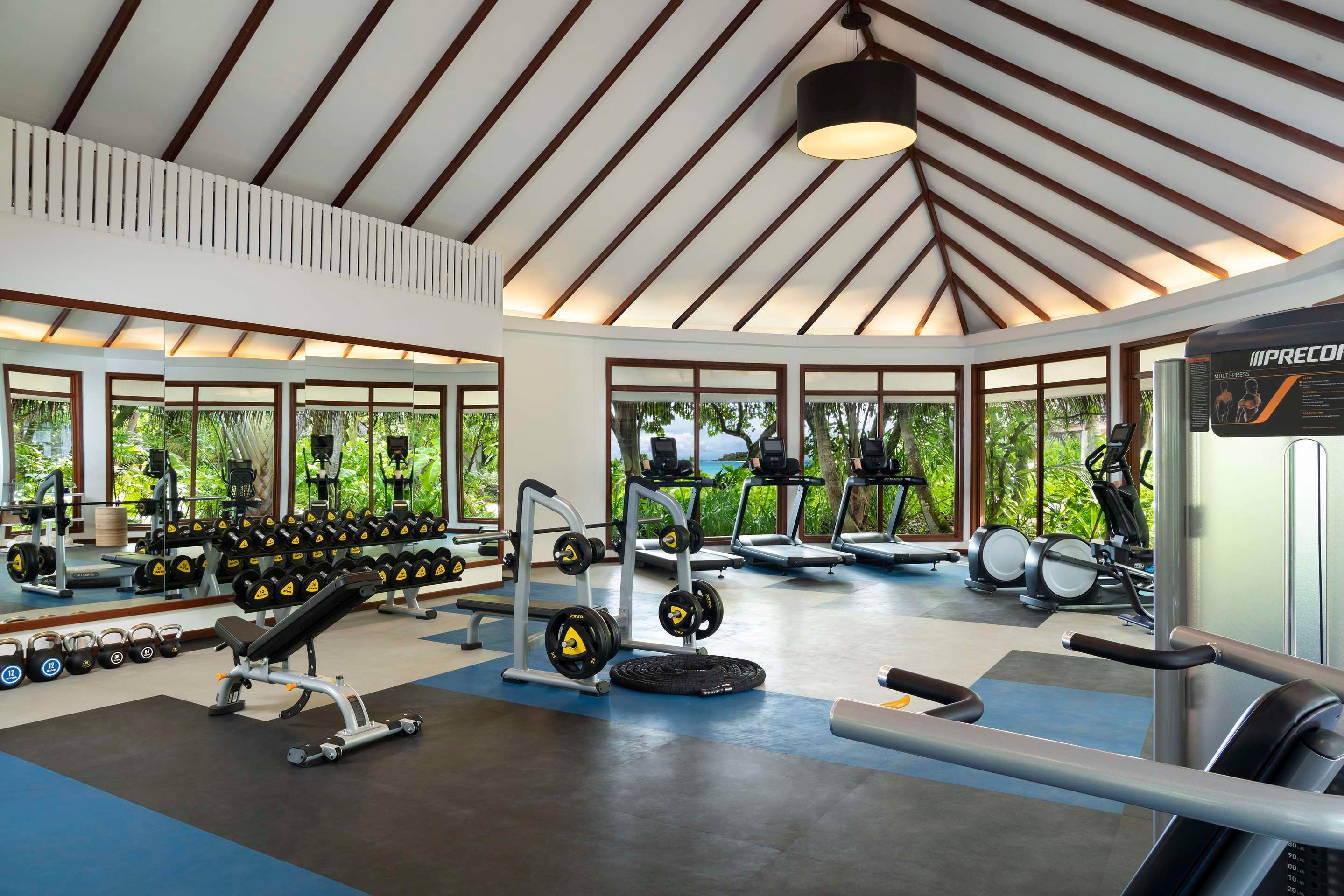Gimnasio