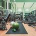 Gimnasio